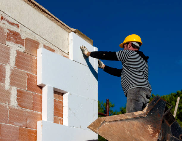 Best Home Insulation Services  in Joanna, SC