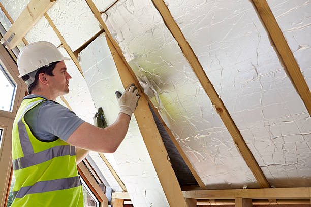 Best Insulation Inspection Services  in Joanna, SC